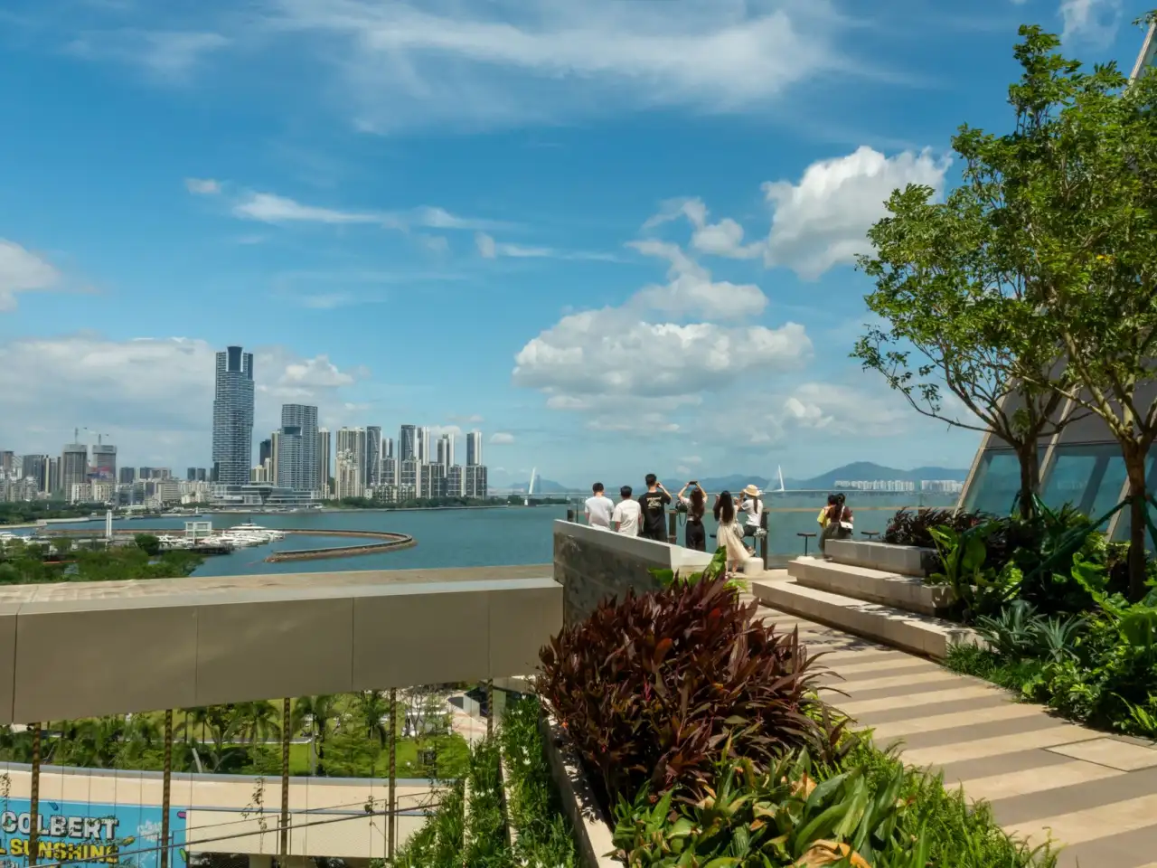 2025年软件开发趋势：低代码平台对福建企业的影响分析